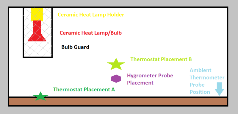 vivarium thermostat setup