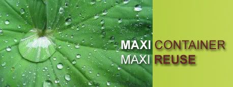 maxi leaf