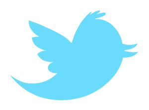 twitter bird