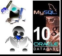 Linux mySQL Netbeans Oracle