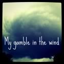 YMy Gamble in the Wind
