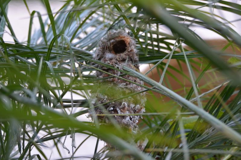 про подружку))