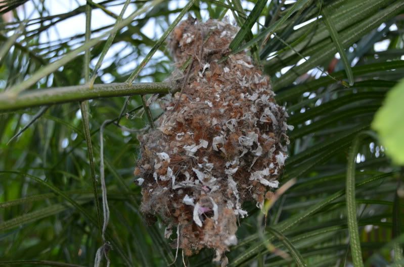 про подружку))