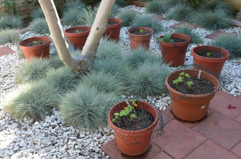 про подружку))