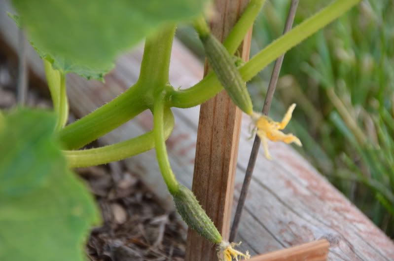 про подружку))