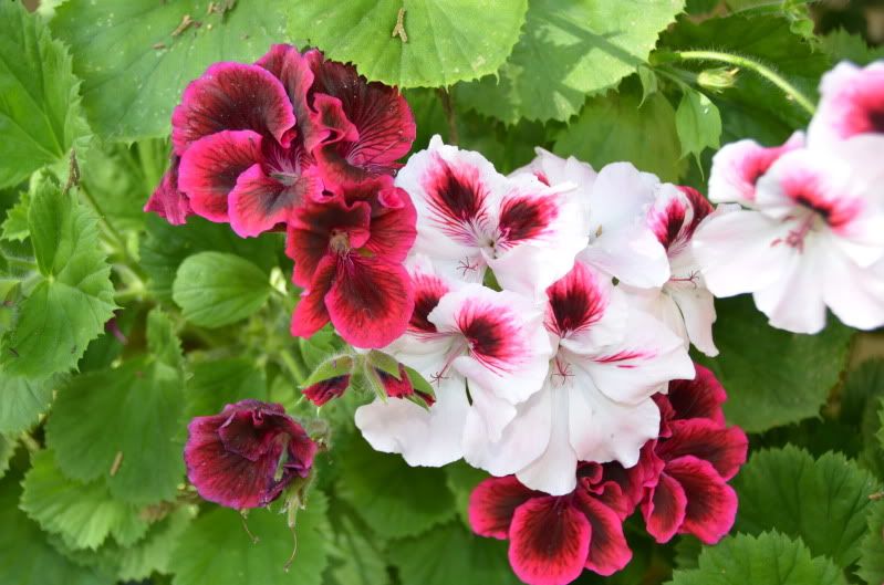 про подружку))