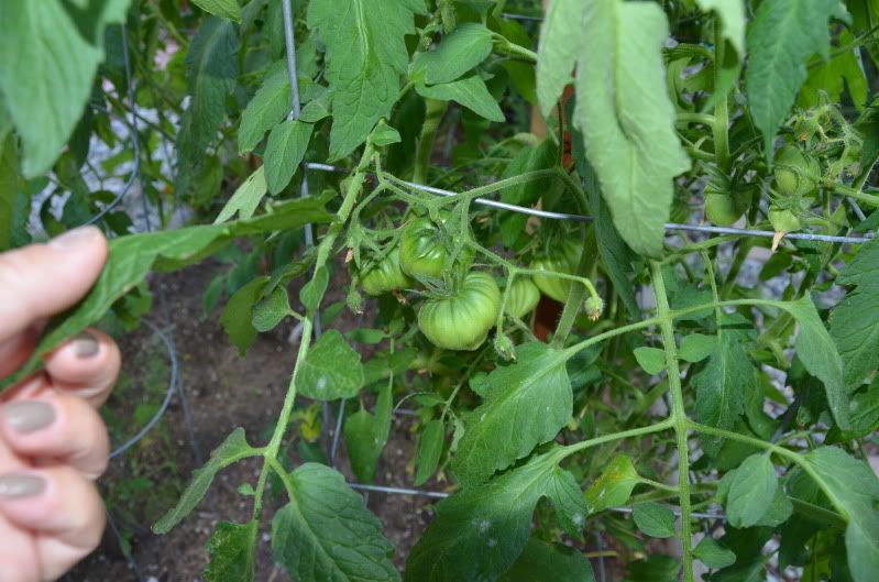 про подружку))