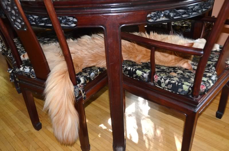  мой ма-ааленький... Photobucket