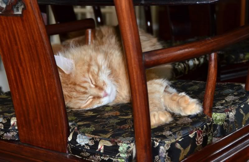  мой ма-ааленький... Photobucket