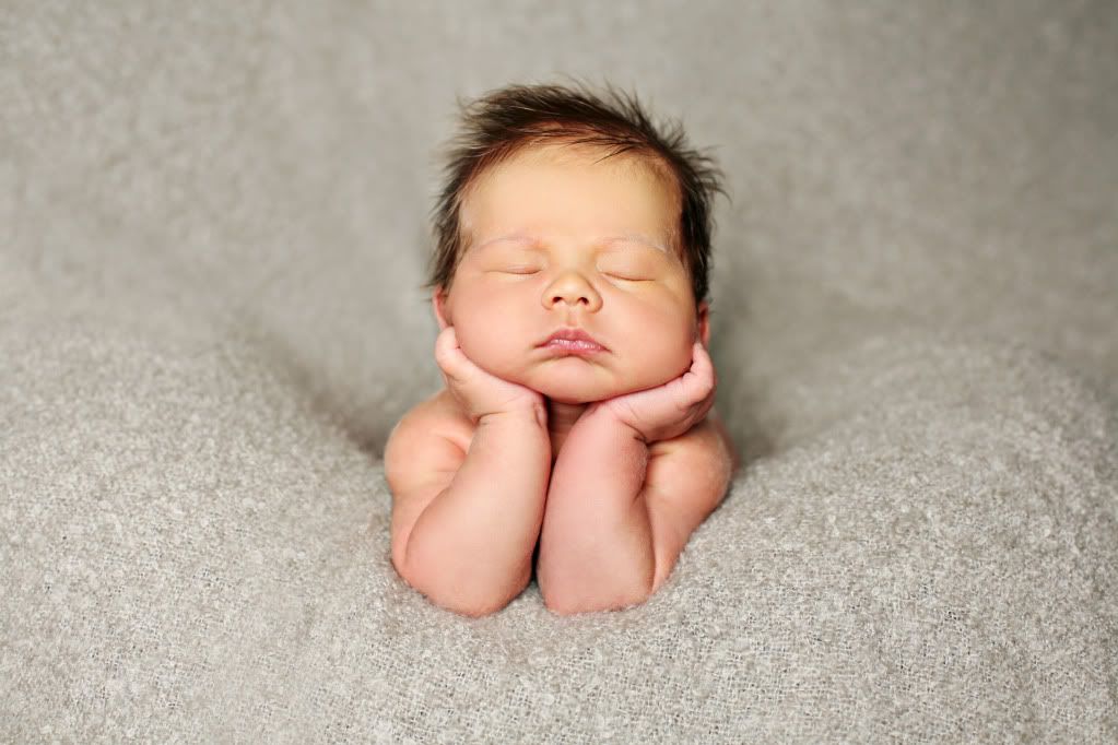 IMAGE: http://i1139.photobucket.com/albums/n549/korymchenry/roan3.jpg