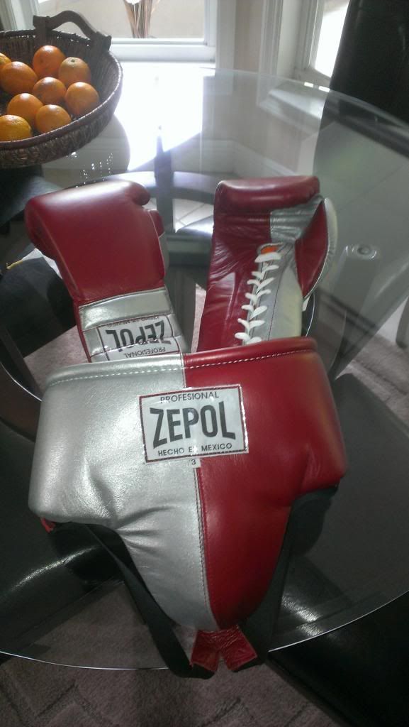 zepol boxing gloves