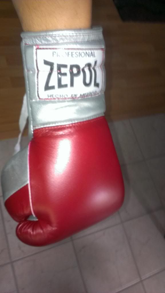 Review 16oz Zepol Gloves and No Foul Protector Sherdog Forums UFC