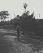 photo b5991da3-2a2a-440b-a63a-3a656df957aa.jpg