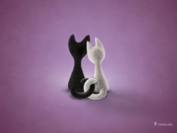 Black Cat White Cat (Color 4) - wallpaper