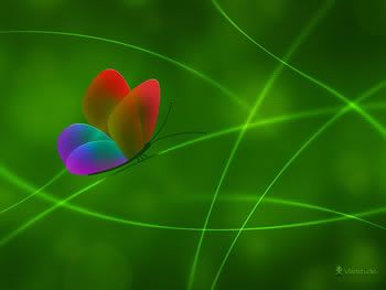 Rainbow Butterfly, Color 3 - wallpaper