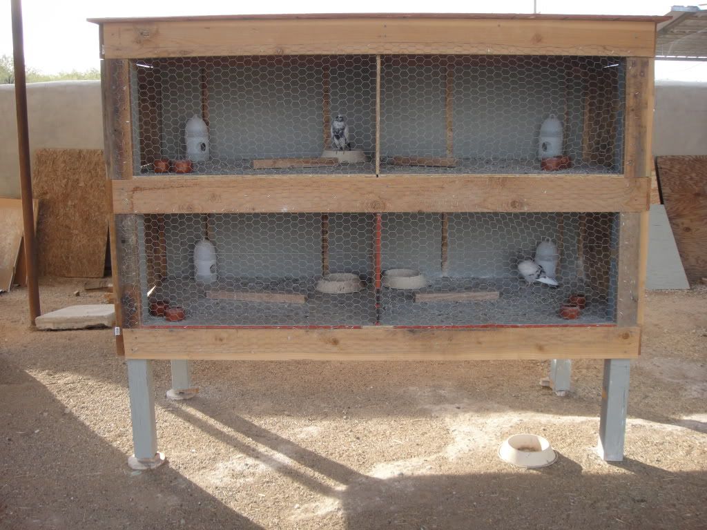 Pigeon Loft Design