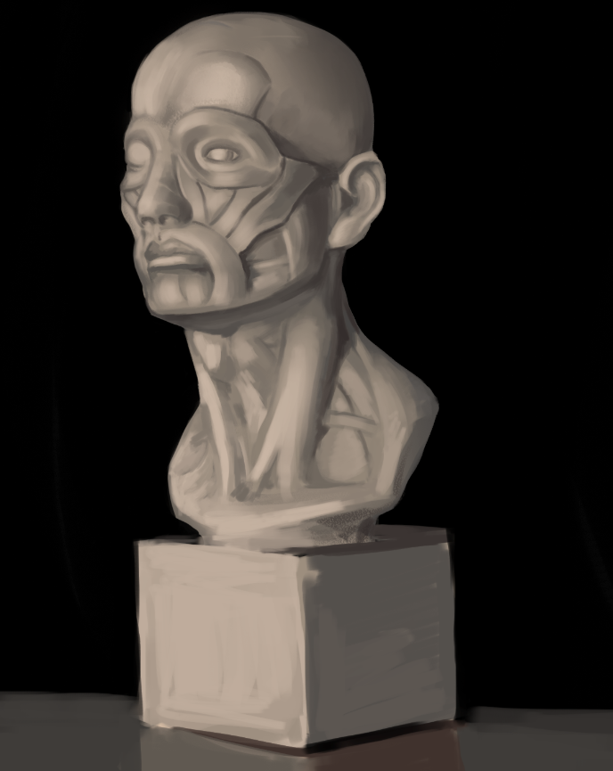 [Image: bust_study_Jan_25_2012.png]