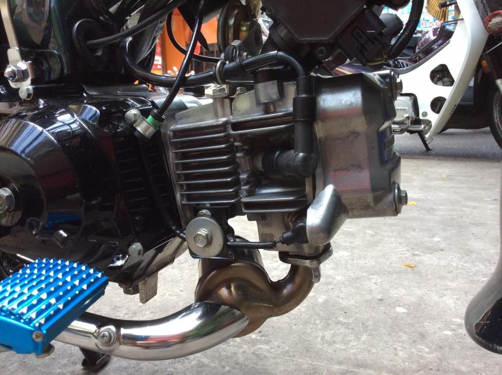 Bán xe super cup 50 - 6