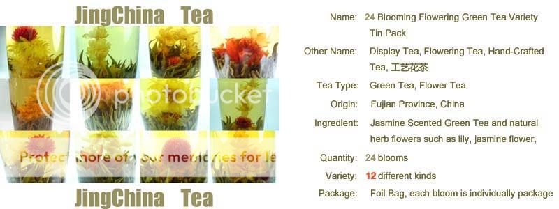 24 Organic Blooming Flower Green Tea Variety Foil Pack  