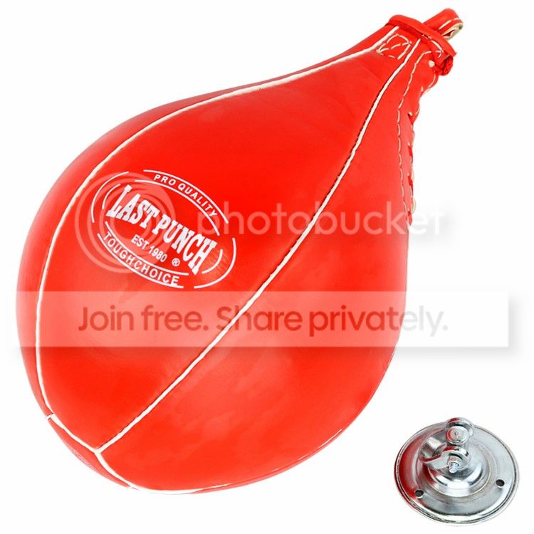 BOXING SPEEDBALL w/ FINGERLESS GLOVES & SWIVEL MMA Punching Bag Speed