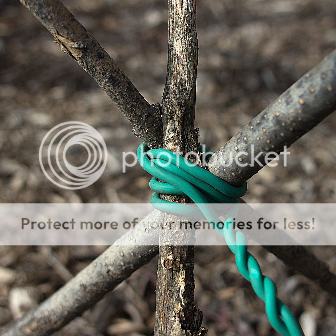 RUBBER GARDEN FLEX PLANT WIRE 12 ft Support Cord Wrap Flexible Vines