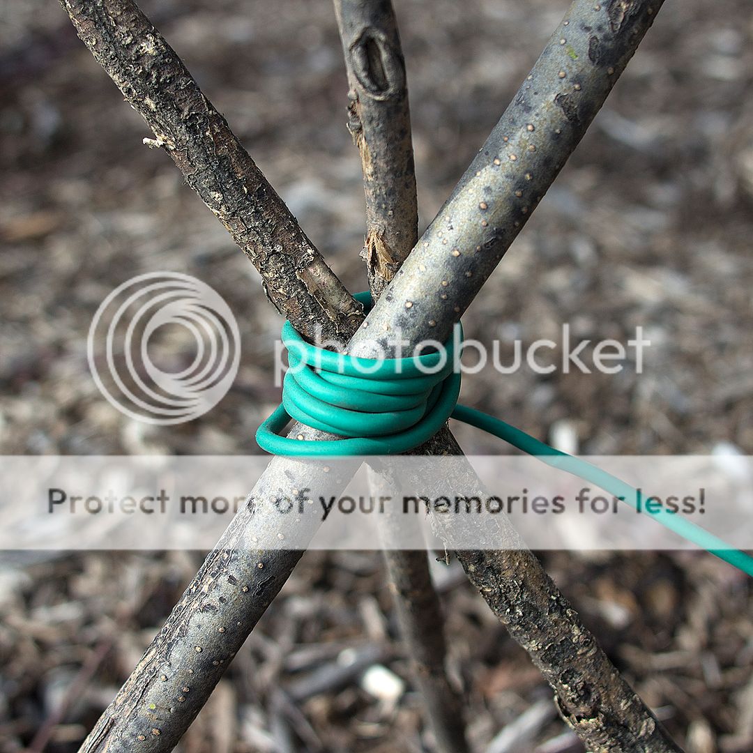 RUBBER GARDEN FLEX PLANT WIRE 12 ft Support Cord Wrap Flexible Vines