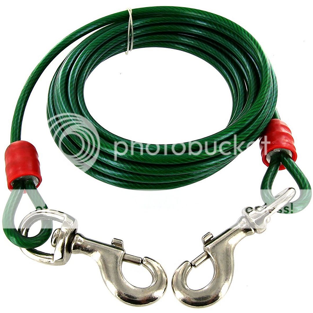 Best tie out cable for large dogs Clearance